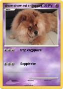 chow-chow est cr@quant chow-chow est