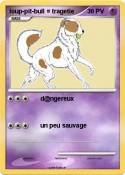 loup-pit-bull =