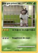loup gris prison fail loup gris