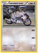 hammster moto