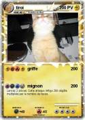 tiroi
