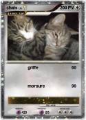 chats