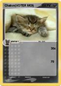 Chaton(VOTER