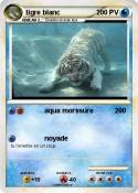 tigre blanc