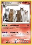 Catousses