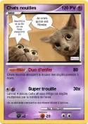 Chats nouilles