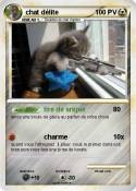 chat délite