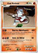 Chat Rockeur