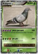 le pigeon