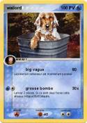 wailord
