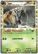 Tyger