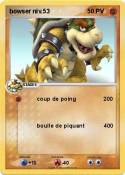 bowser niv.53