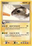 hamster