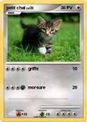 petit chat