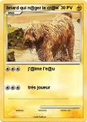 briard qui