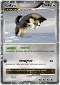 Husky