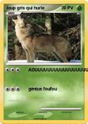 loup gris qui