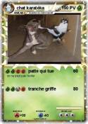 chat karatéka