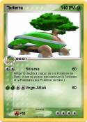 Torterra