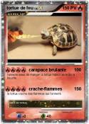 tortue de feu
