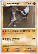 maître kung-fu