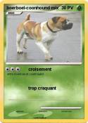 boerboel-coonhound mix boerboel-coonhound