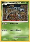 berger allemand