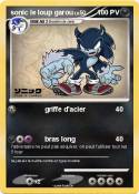 sonic le loup