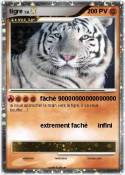 tigre