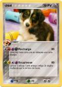 chiot