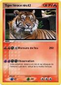 Tigre féroce