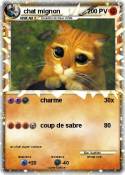 chat mignon