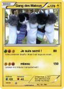 Gang des Matous Gang des Matous