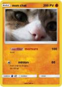 mon chat