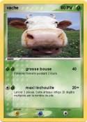 vache