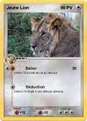 Jeune Lion