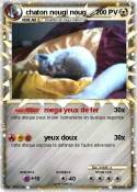 chaton nougi
