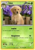 chien