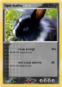 lapin kunfou