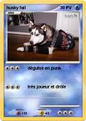 husky fail husky fail