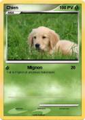 Chien