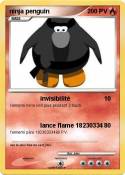 ninja penguin