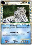tigre
