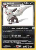 noir shini