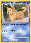 loup-chow-chow-labrador mix loup-chow-chow-labrador