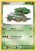 Torterra Torterra