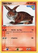 lapin tigre