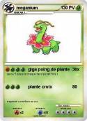 meganium