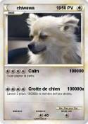 chiwawa 19
