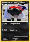 mastiff noir en